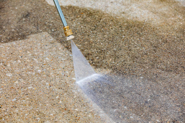 Best Roof Washing  in La Ada Flintridge, CA